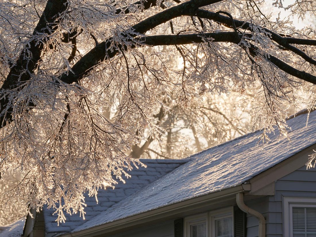 Tree limbs sheathed in clear ice above a residential roofline after an ice storm