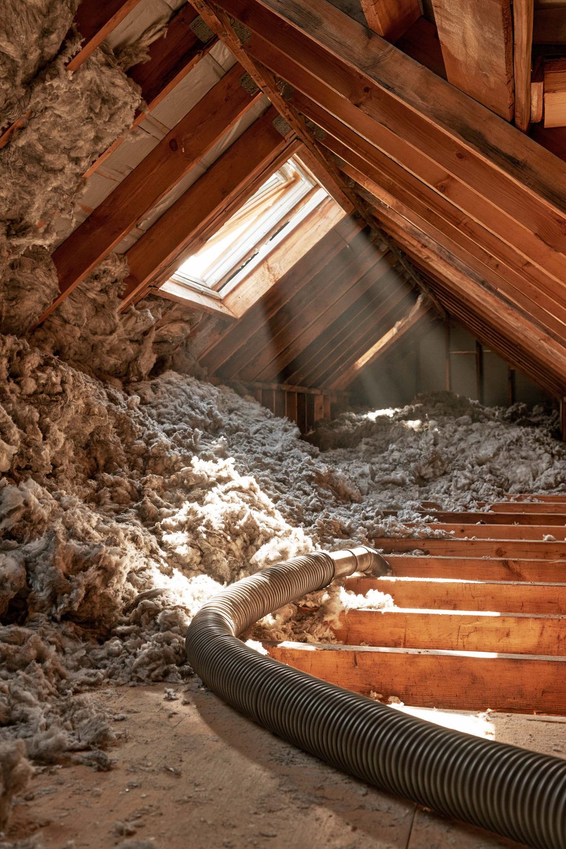 An attic mid-cleanout with a vacuum hose running across old gray fiberglass