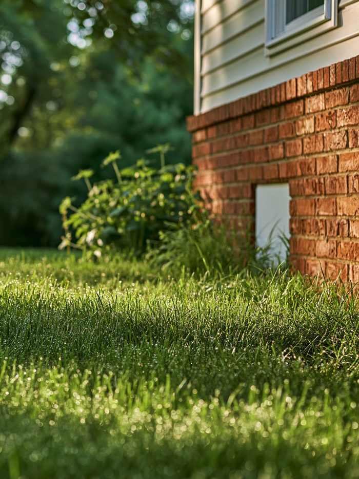 A solid white cover sealing a crawl space vent in a brick foundation above a dew-covered lawn